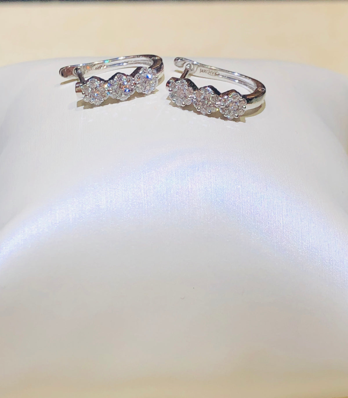 .37 Ctw Diamond & 14 Kt White Gold Hoop Earrings