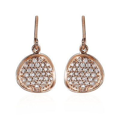 Refined Rebel Earring ZE286