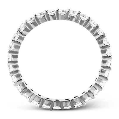 products/ZR39_WHITE_PLAT_BAND_2.png
